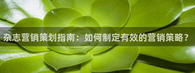 必赢集团网站改成多少