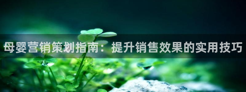 必赢平台官方