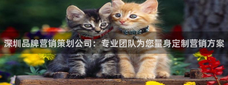 必赢bwinapp