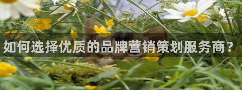 必赢官网