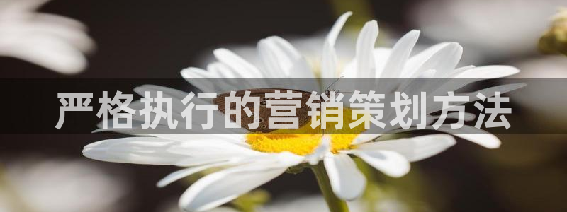 必赢手机app下载最新版本安装