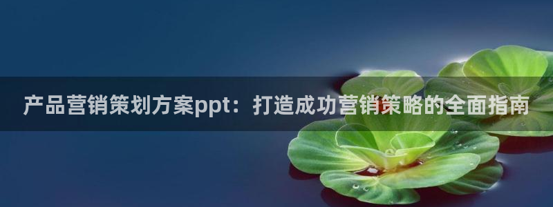 必赢.apk