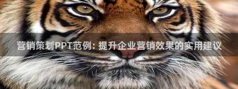 9965必赢游戏app大全