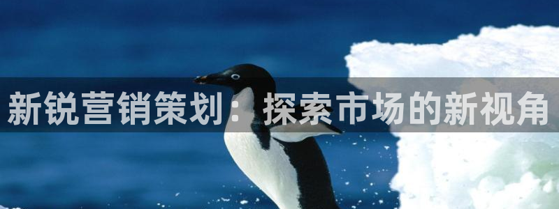 必赢网址手机主页在哪
