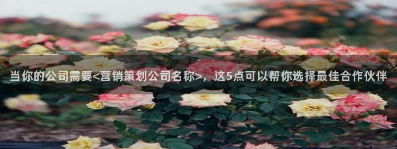 必赢3003平台