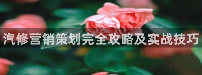 必赢图片