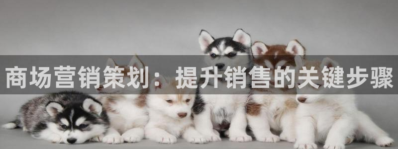 必赢app能挣钱吗安全吗