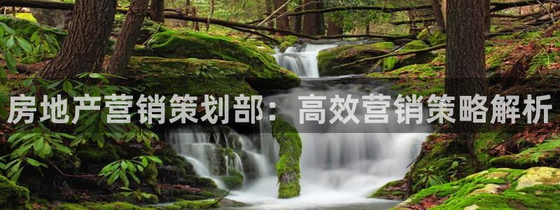 必赢网址手机主页怎么设置