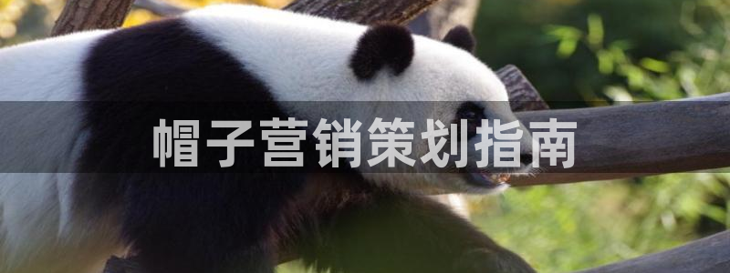 必赢888国际集团