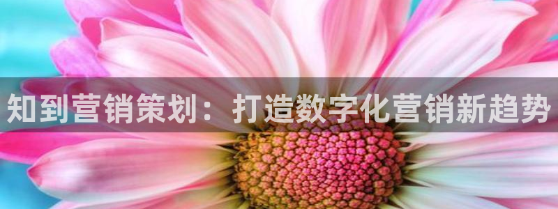 必赢手机版