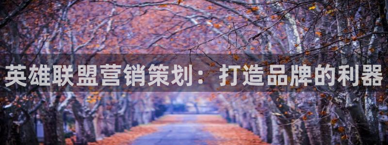 必赢官网网站入口