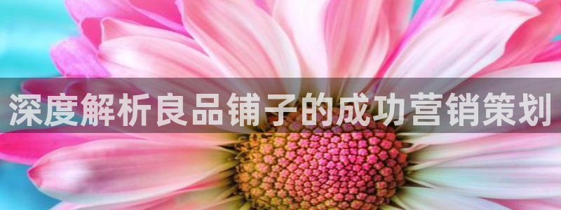 必赢官网app下载安装苹果