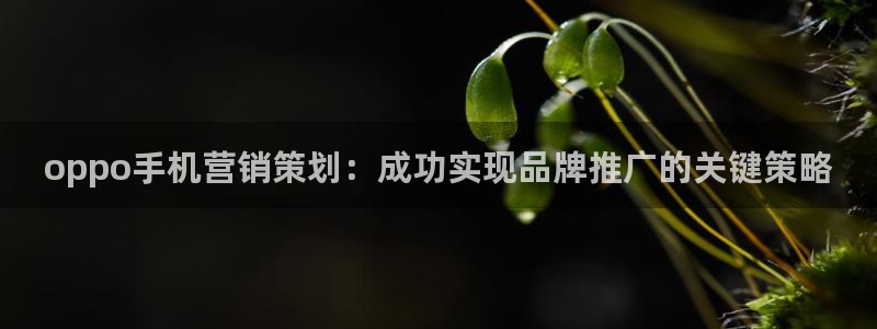 必赢8111e