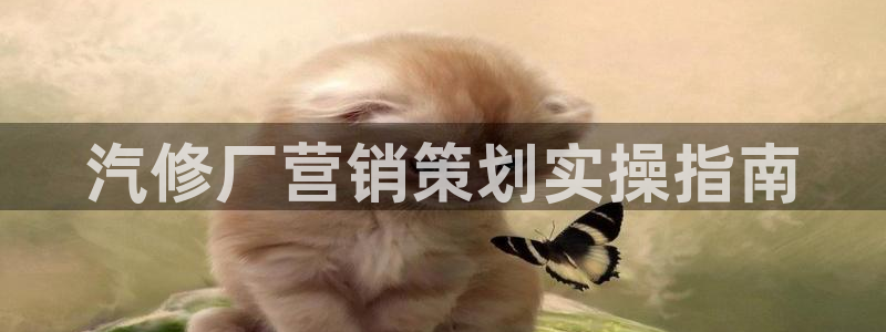 必赢手机版官网
