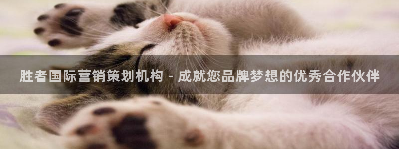 必赢网站充值是真的吗
