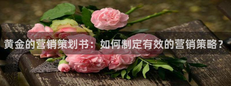 必赢平台怎么样可靠吗