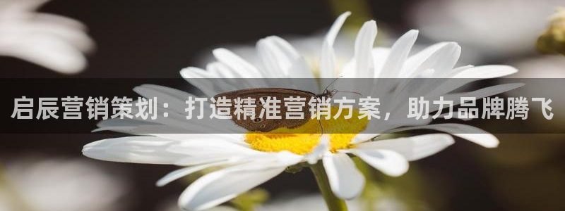 必赢72882网址