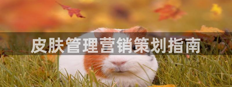 必赢官网入口下载app