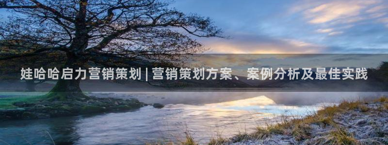 必赢网怎么打不开了