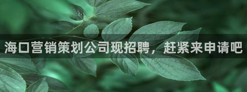 必赢88