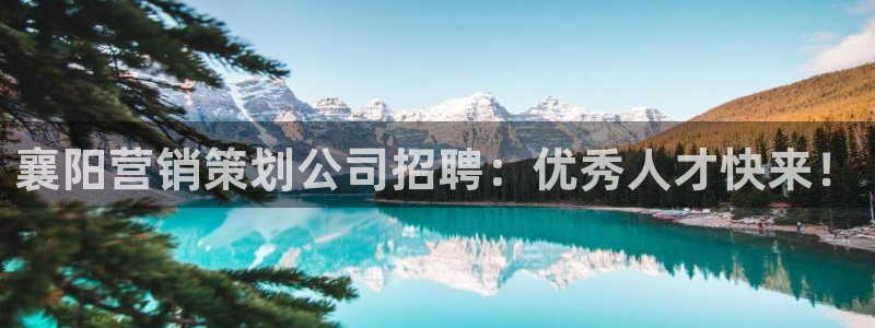 7321必赢安全吗