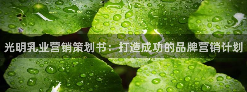 必赢官网下载