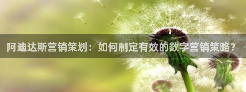 必赢565net官网