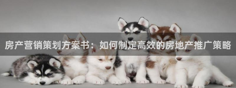 必赢下载安卓版最新版
