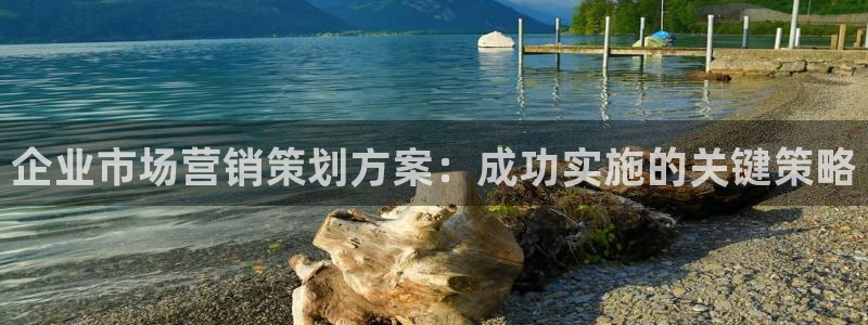 必赢国际软件下载