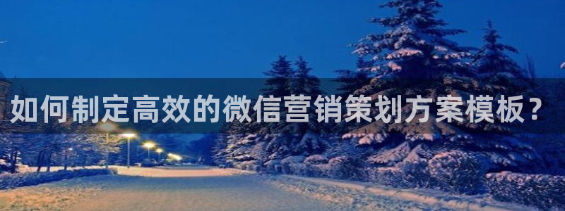 必赢公司
