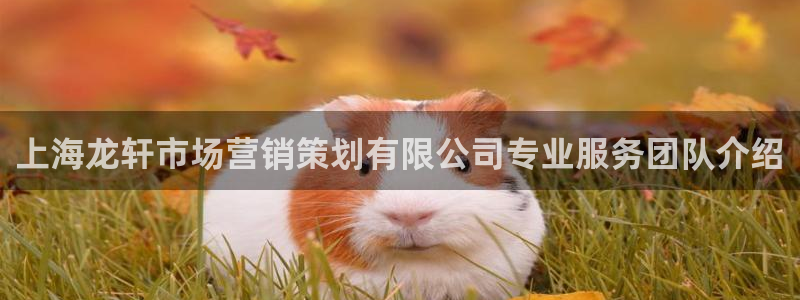 必赢72886后面字母是多少