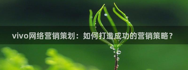 必赢必赢