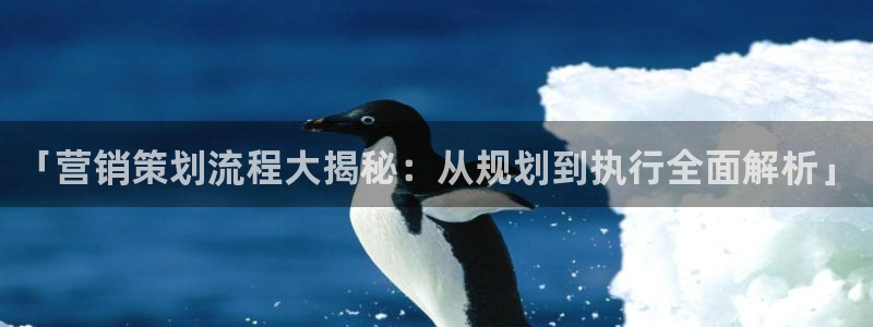 必赢线上网址是多少