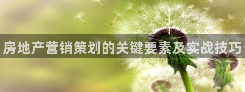 必赢手机app下载 最新版安卓苹果