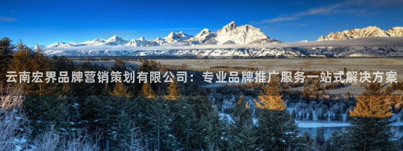必赢集团网站是什么