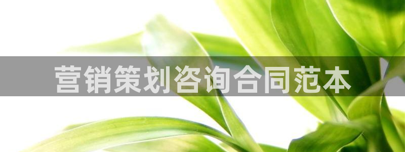 9965必赢苹果下载：营销策划