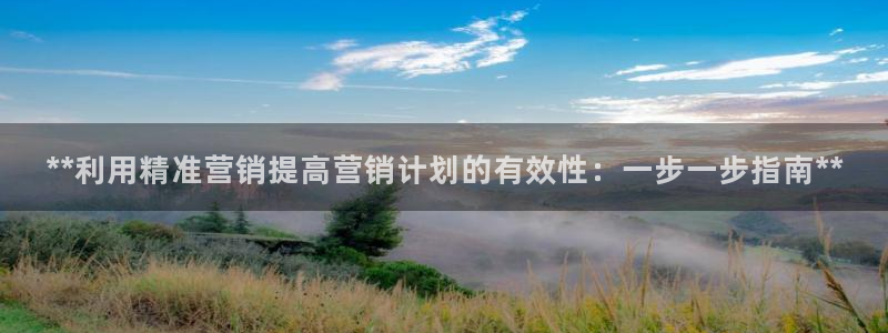 必赢3003平台