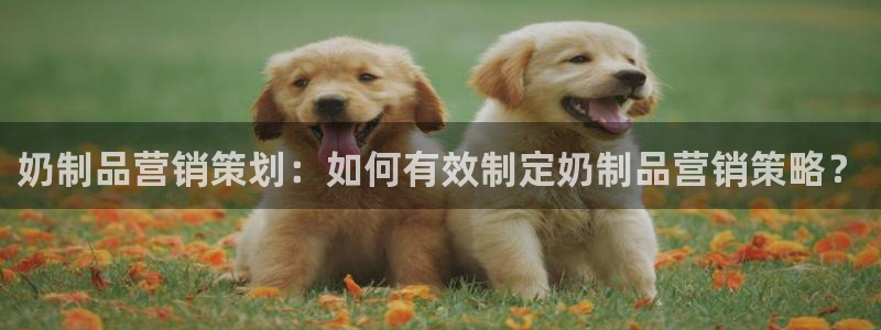 必赢qp