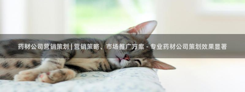 必赢手机版官网