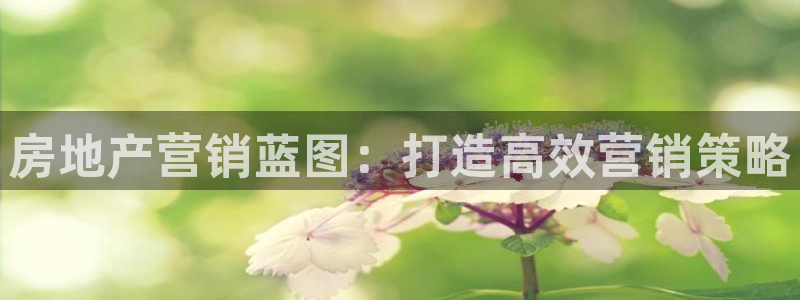 必赢官网网站入口
