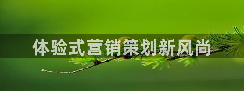 必赢是真的吗