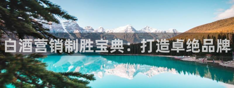必赢网怎么打不开了