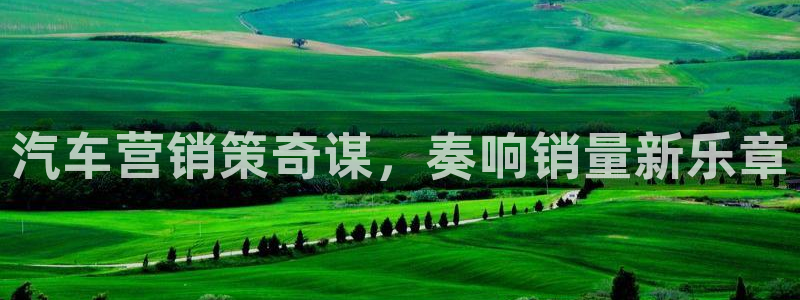 必赢国际437
