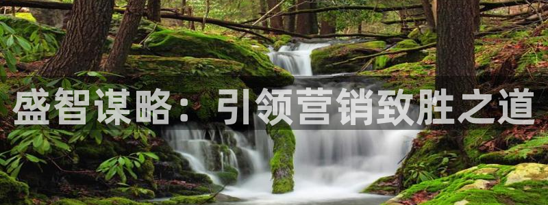 必赢国际app下链接