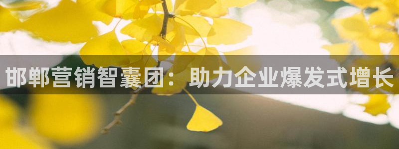 必赢手机app下载