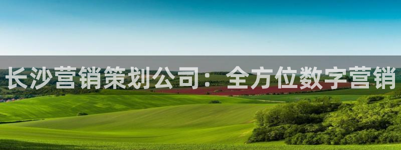 必赢线上网址查询