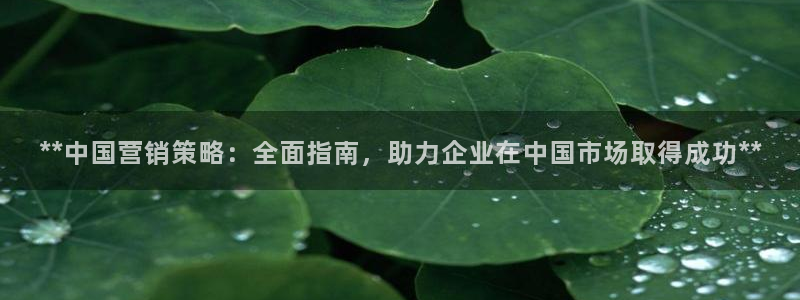 必赢565net官网