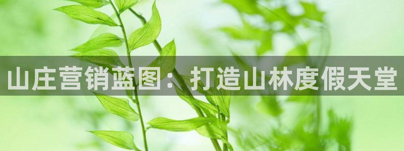 必赢亚赢网站官网下载安卓