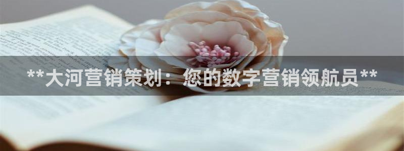 必赢棋盘官网版