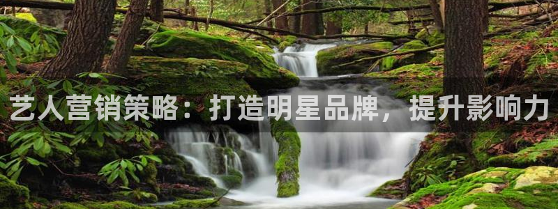 必赢官网入口下载安装手机版